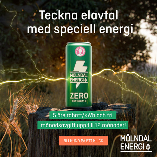 Ett elbolag som vi rekommenderar