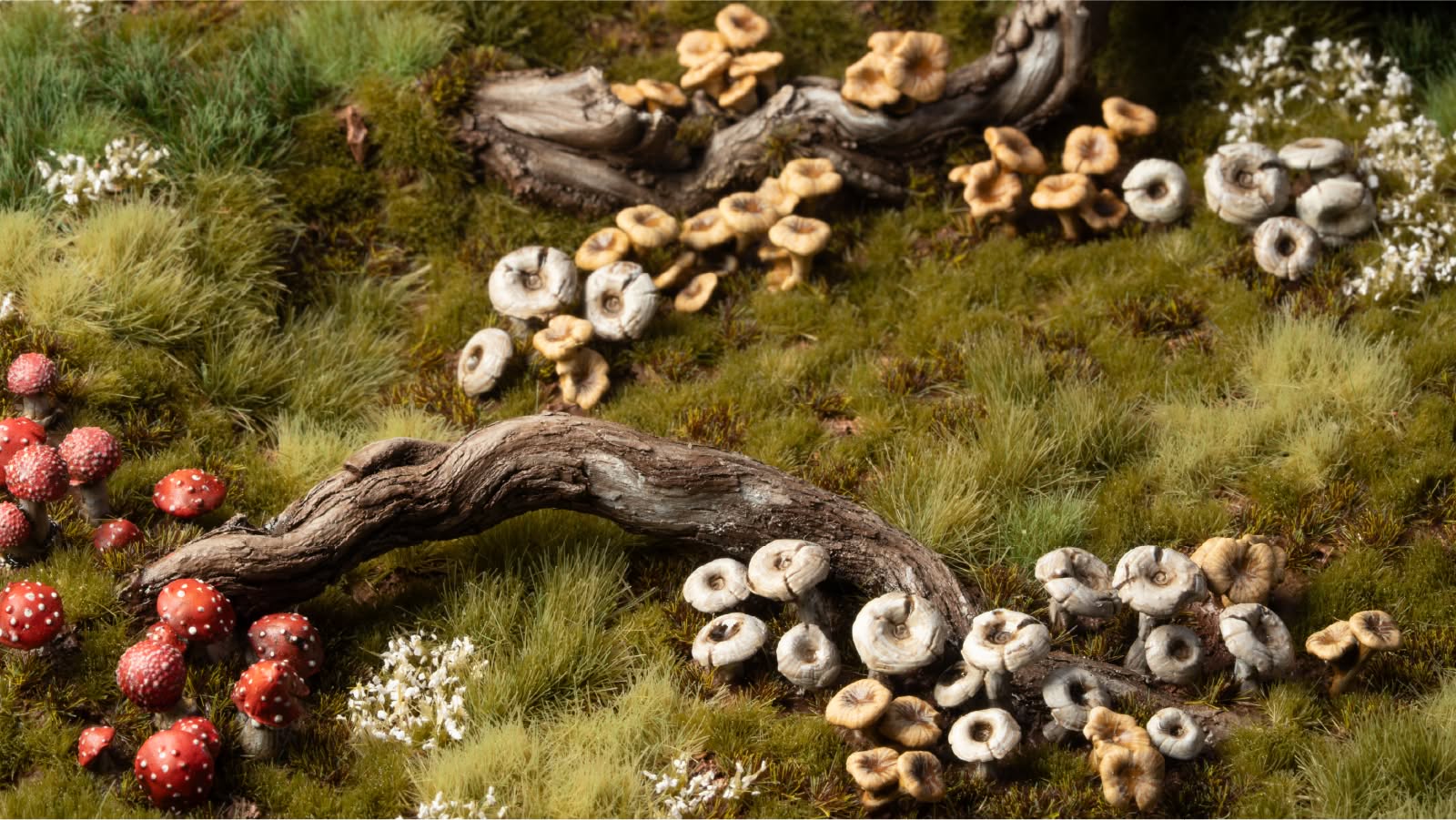 Basing Bits Forest Mushrooms