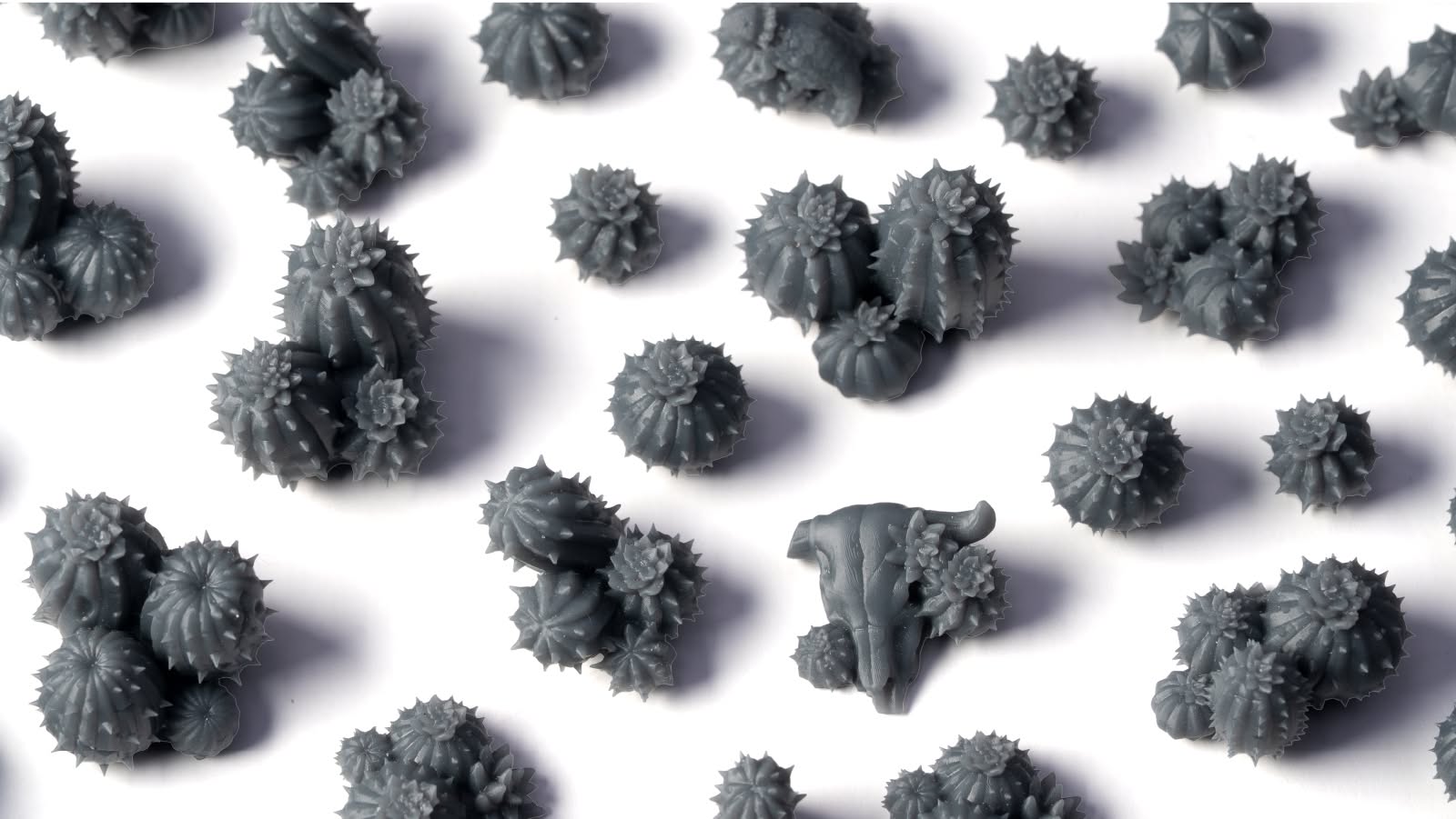 Basing Bits Barrel Cacti