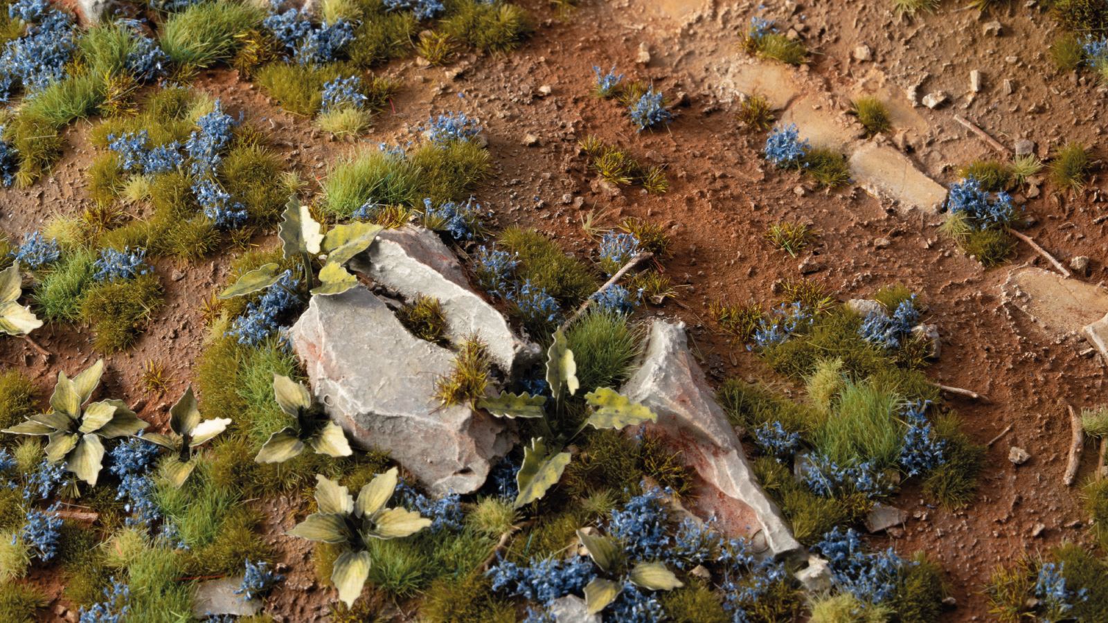 Cornflower Tiny Flowers