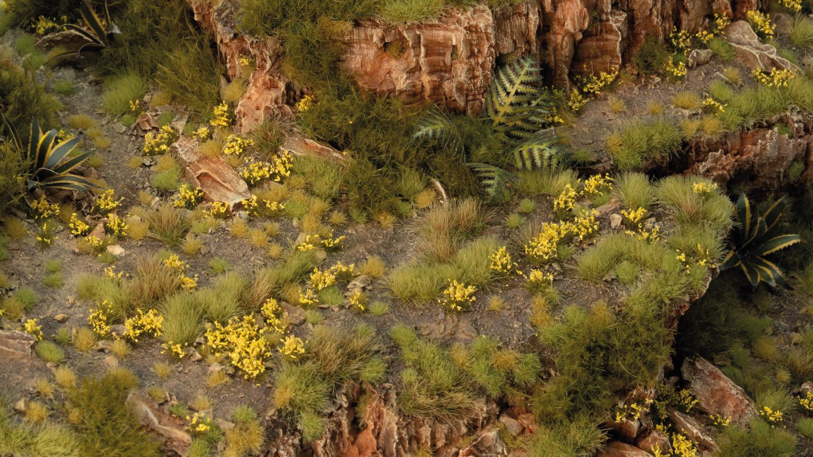Dandelion Tiny Flowers