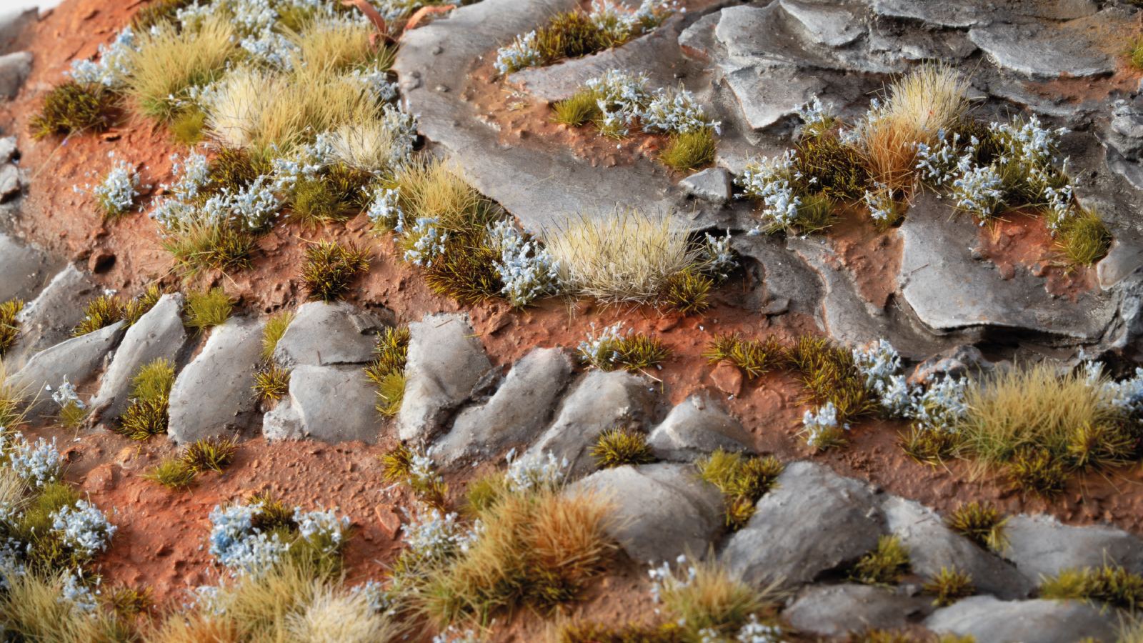 Forget-Me-Not Tiny Flowers