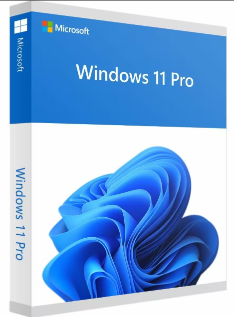 Microsoft Windows 11 Pro