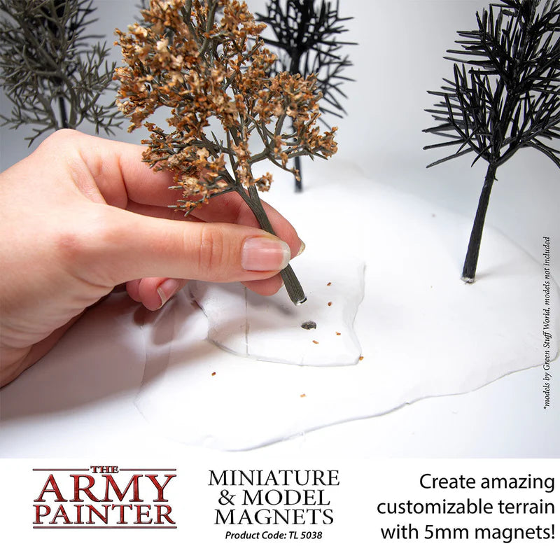 AP Miniature & Model Magnets