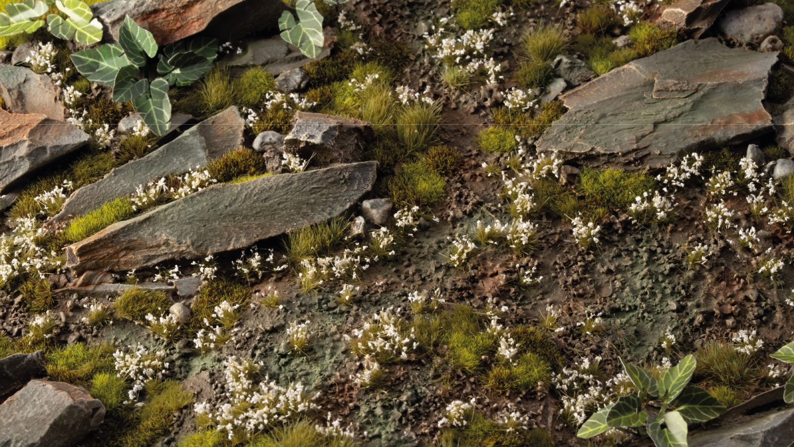 White Lily Tiny Flowers