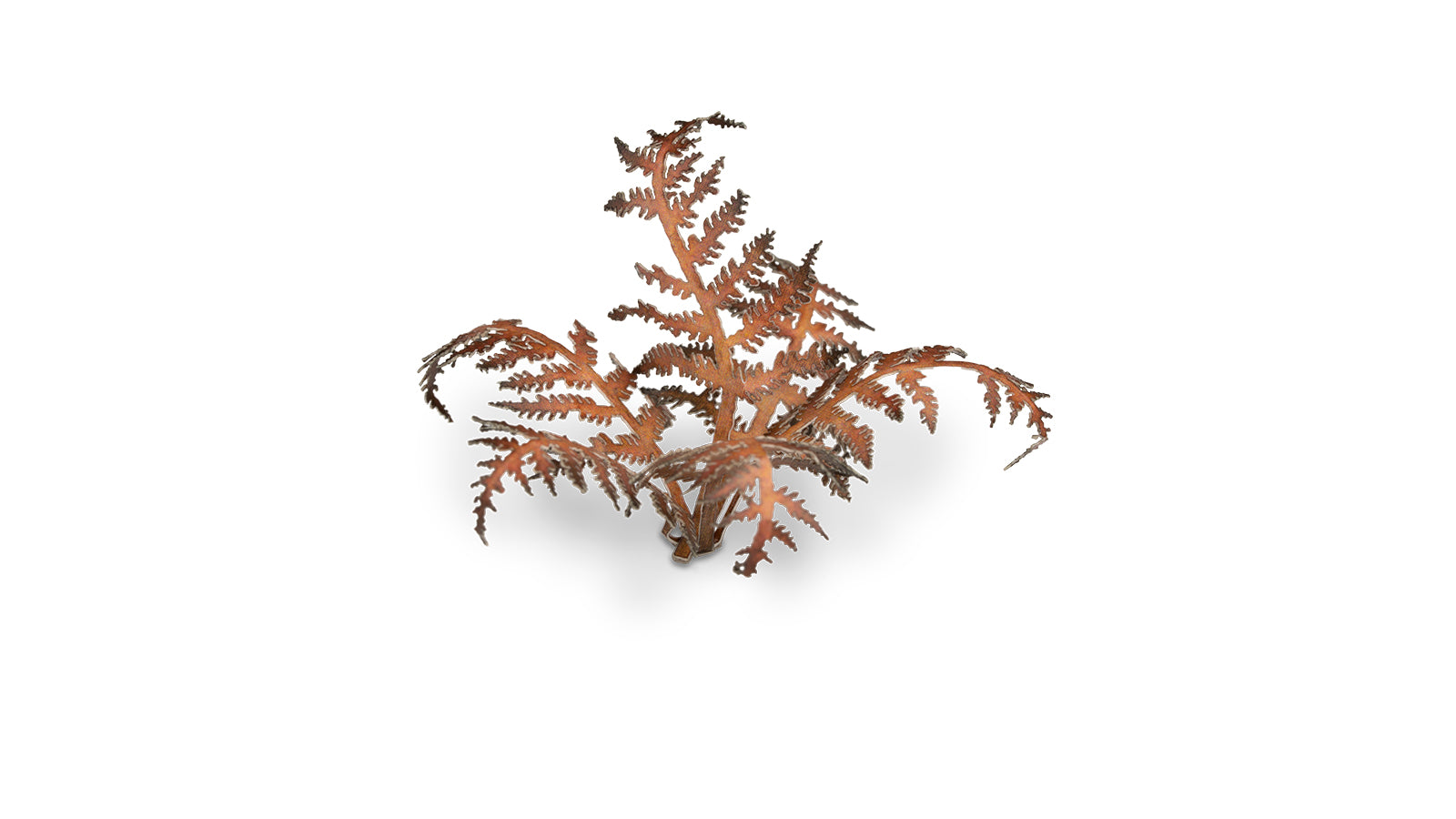 Dry Bracken