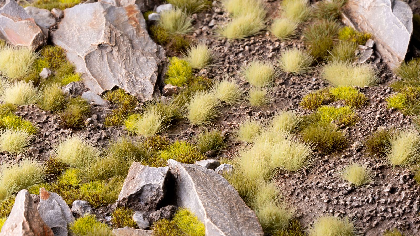 Light Green 6mm Wild
