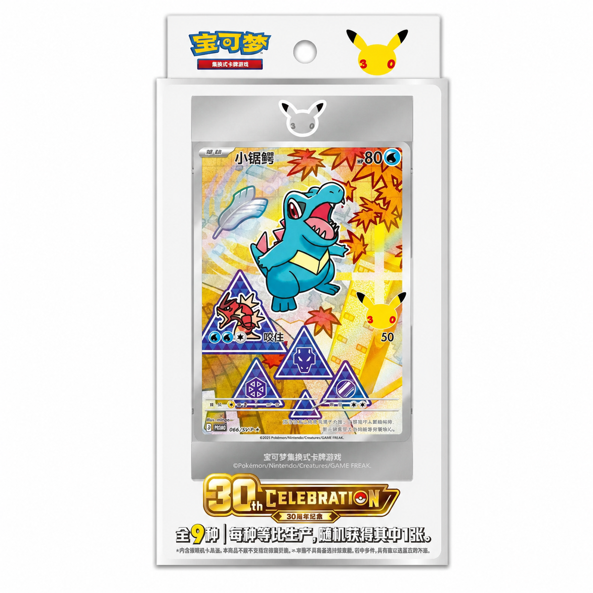 Pokémon 30th Anniversary First Partner Illustration Collection V2 (Kinesisk)
